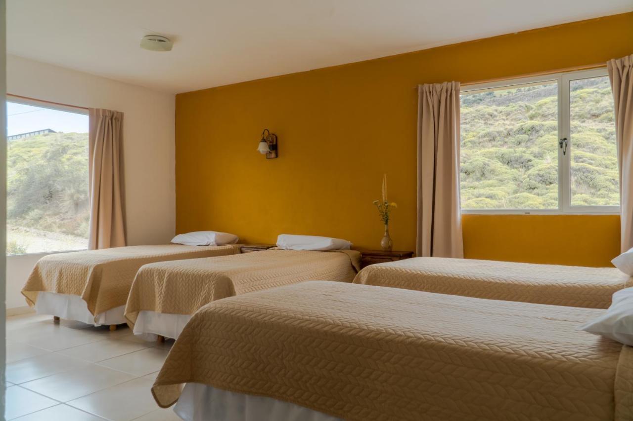 אל צ'אלטן Hosteria Alma De Patagonia מראה חיצוני תמונה